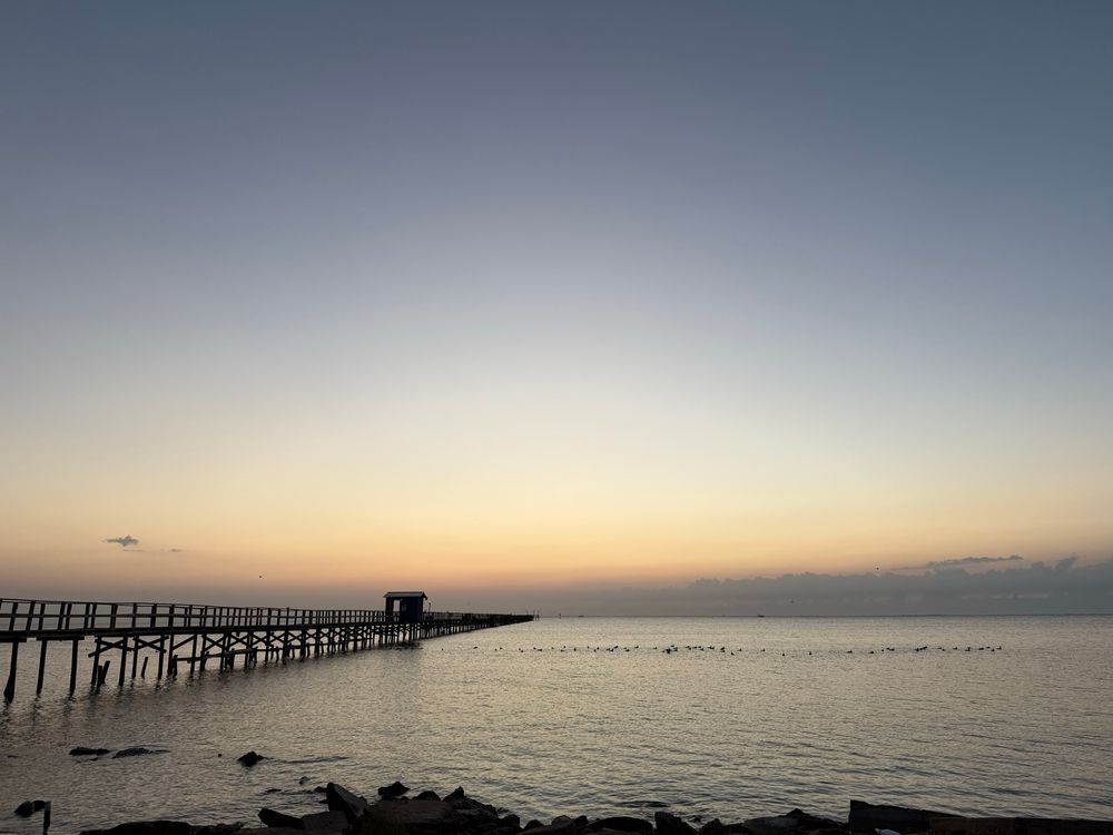 A calm dawn on Aransas Bay. With ducks if you zoom in enough. 
