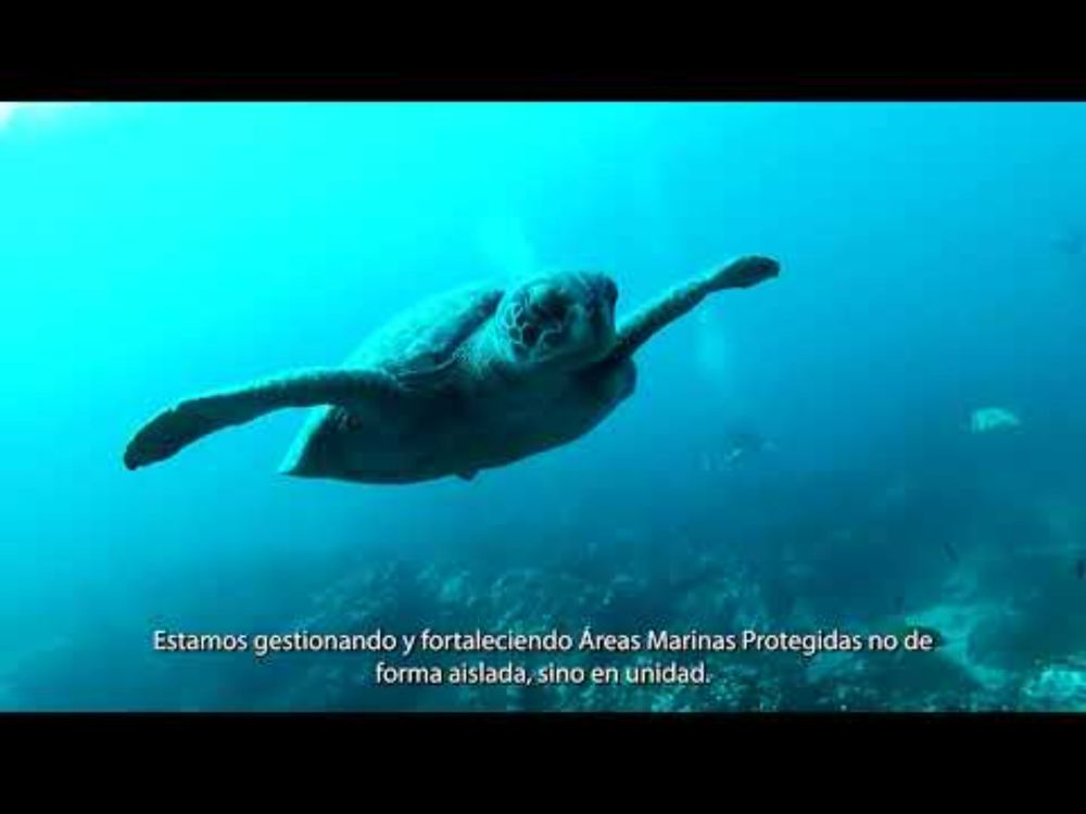 What if the Ocean could speak? Charles Darwin Foundation work in the GMR and ETP
