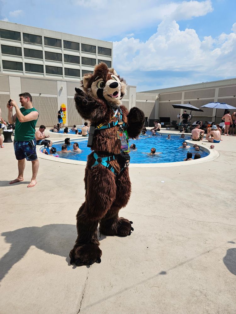 Solo pic at the pool