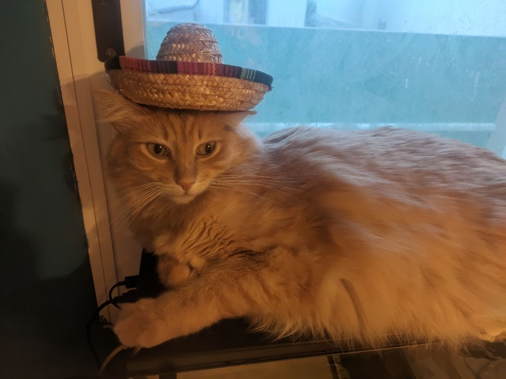 lo mismo pero con la mirada perdida