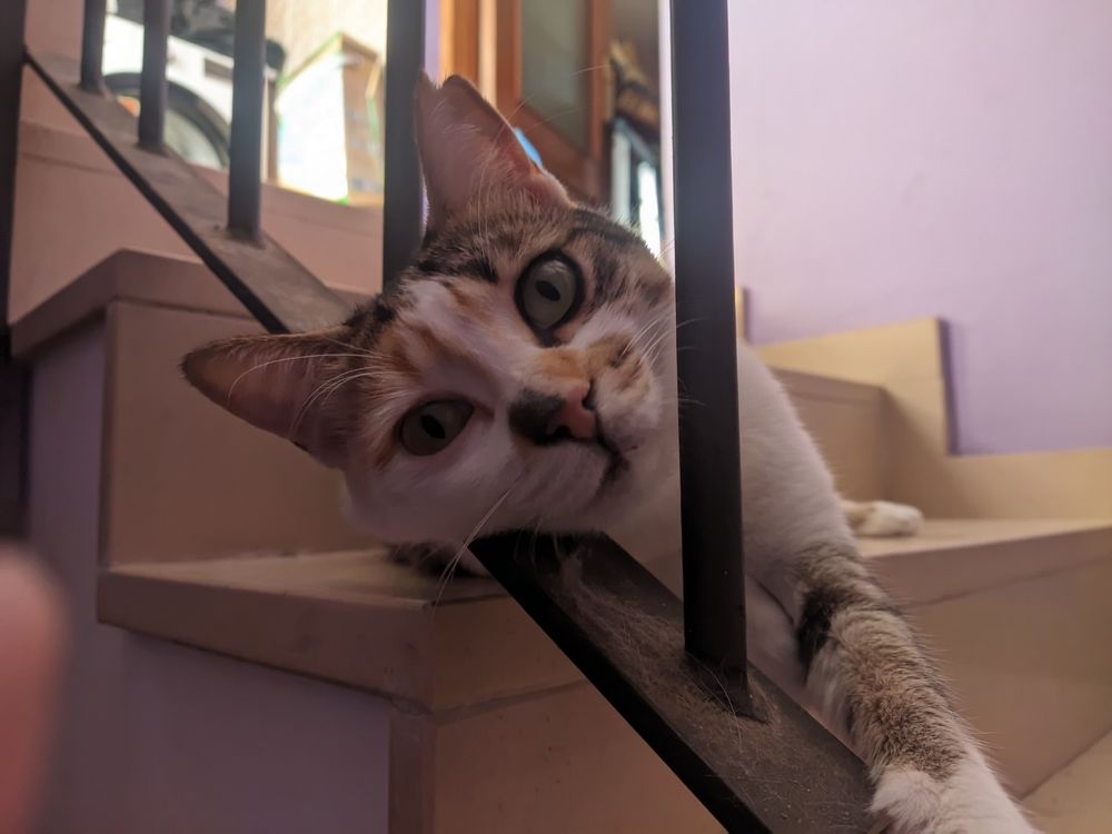 Tina