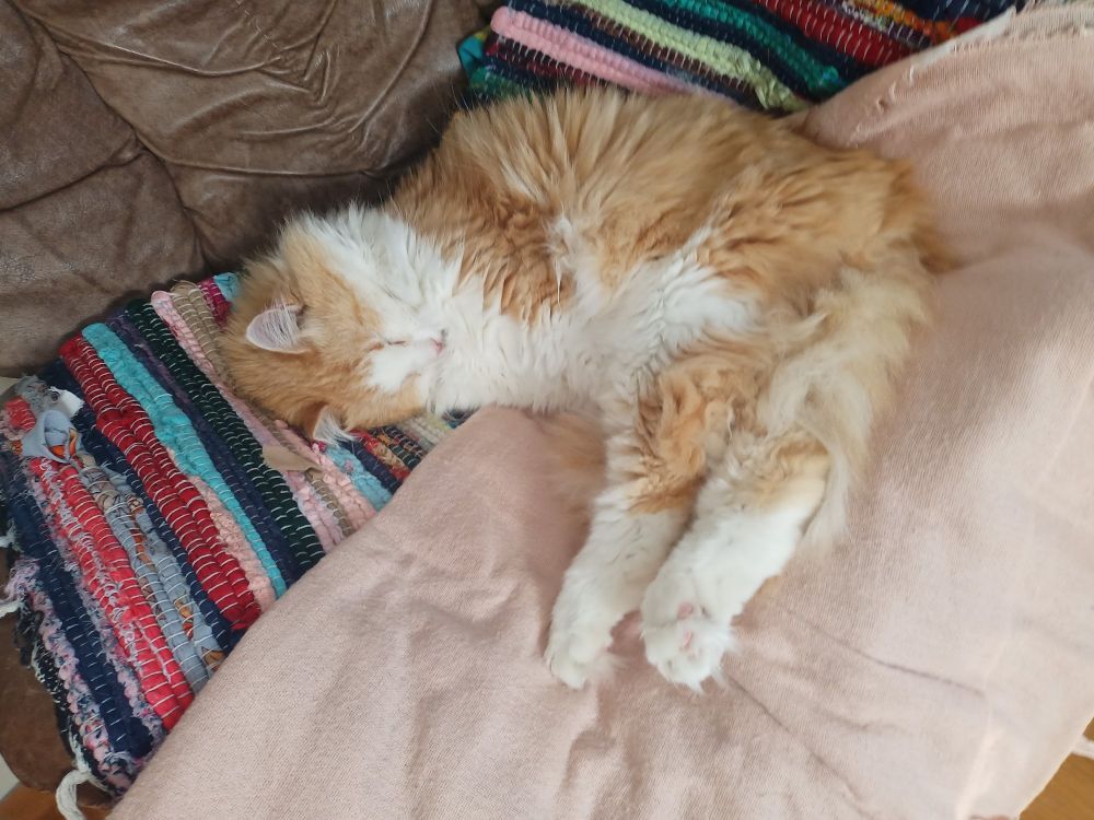 simba shaped like an L, again