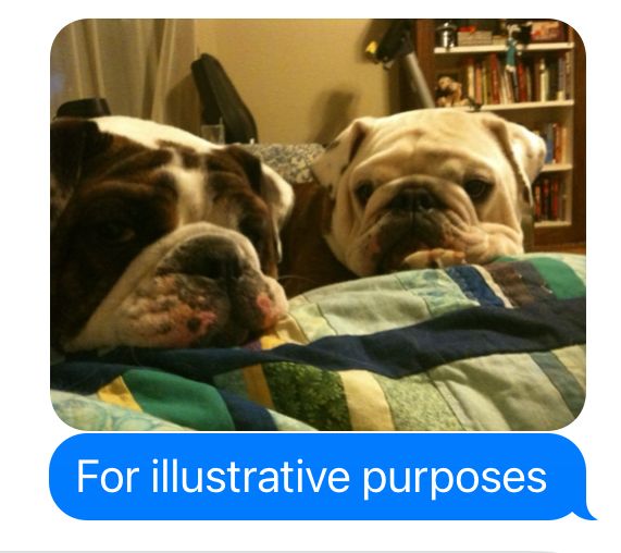 For illustrative purposes 