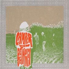 "Take the Skinheads Bowling" by Camper Van Beethoven