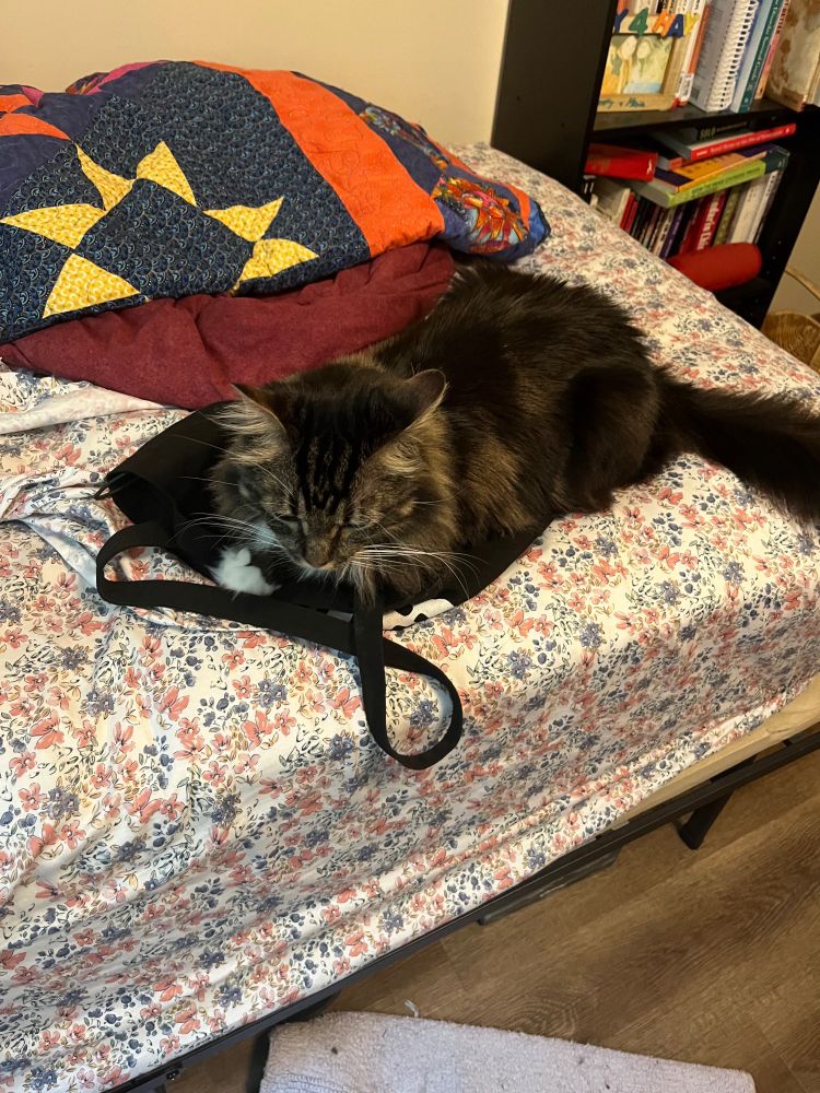 a tabby cat snuggled on a bag on a bed