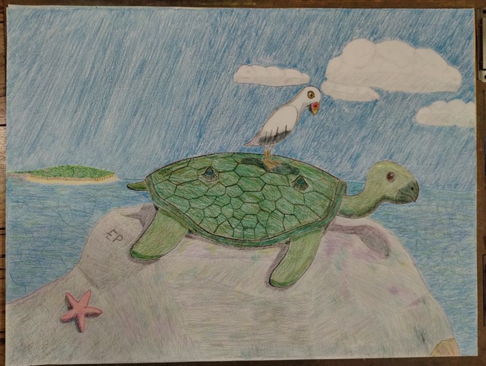 a turtle and a sea bird, they are friends. 
praditional art, colored pencil.