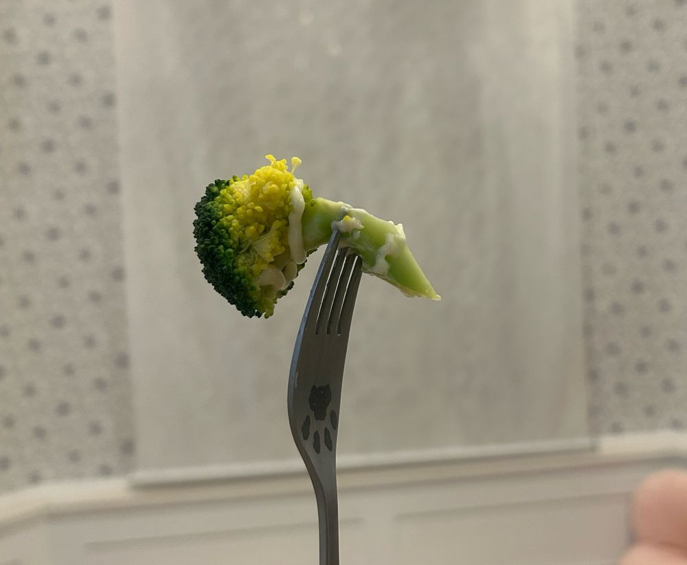 おいしいブロッコリー