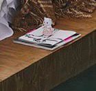 detalle de un gato de sylvanian families en la portada del disco de Amaia ‘Si abro los ojos no es real’