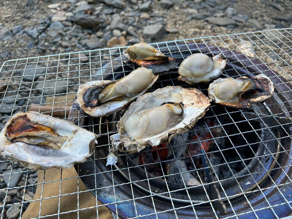 牡蠣を炭火で焼いている