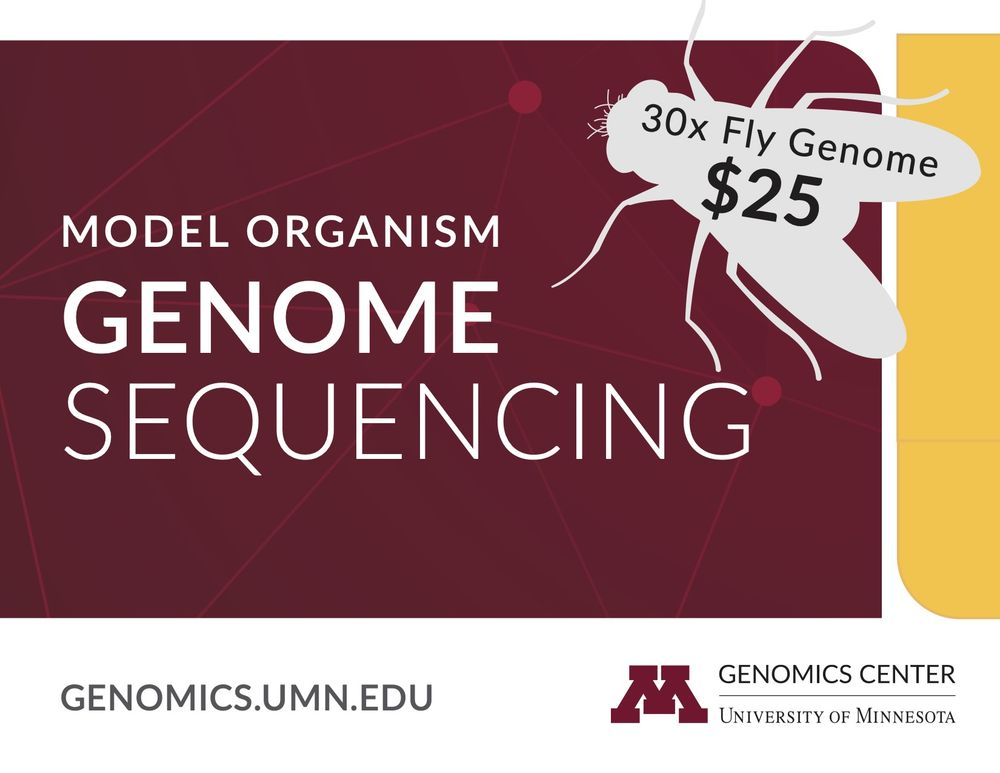 University of Minnesota Genomics Center Model Organism Sequencing Service Flyer. $25 for a 30x Drosophila genome.