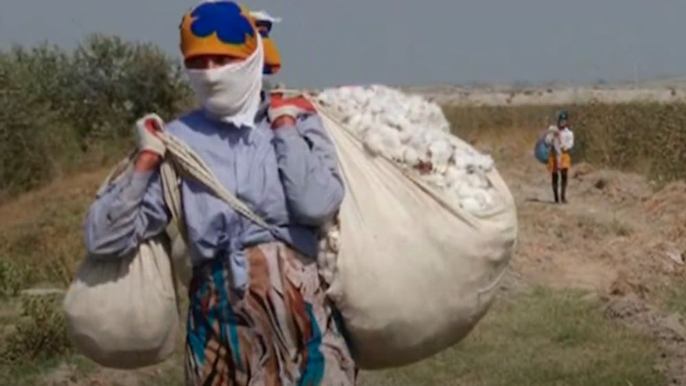 Is this the end of forced labor for Uzbekistan’s cotton industry?