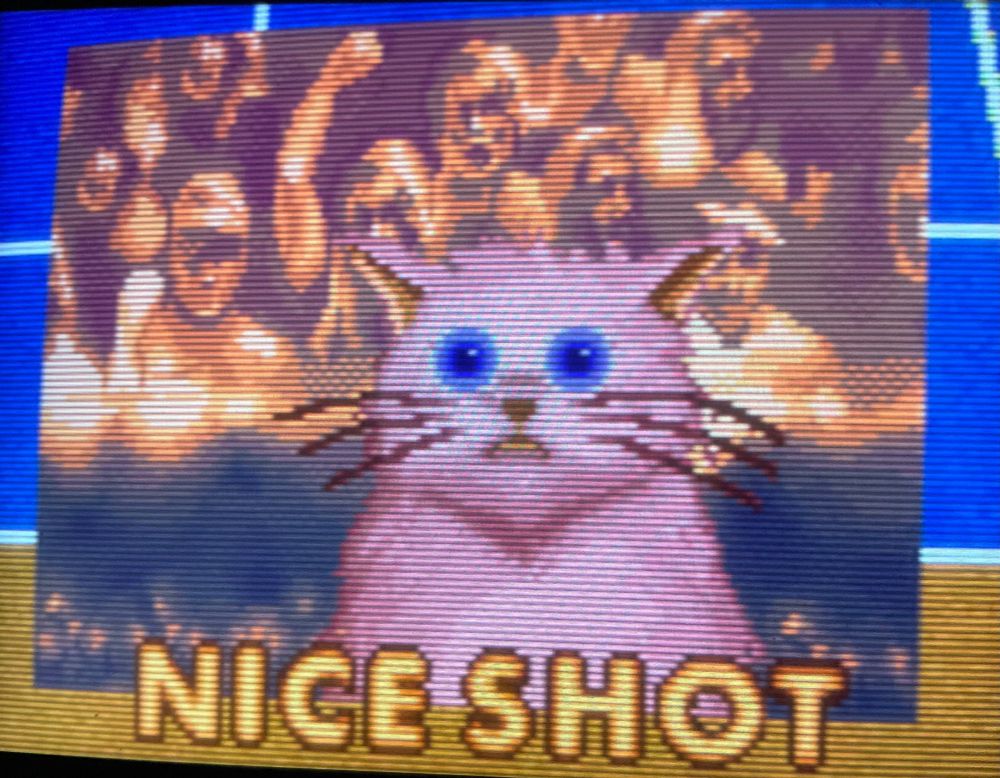 nice shot