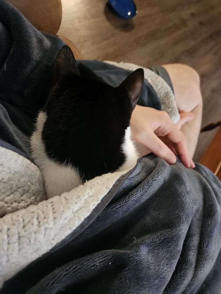 I'm sitting with my cat Penelope, who is wrapped in my housecoat.