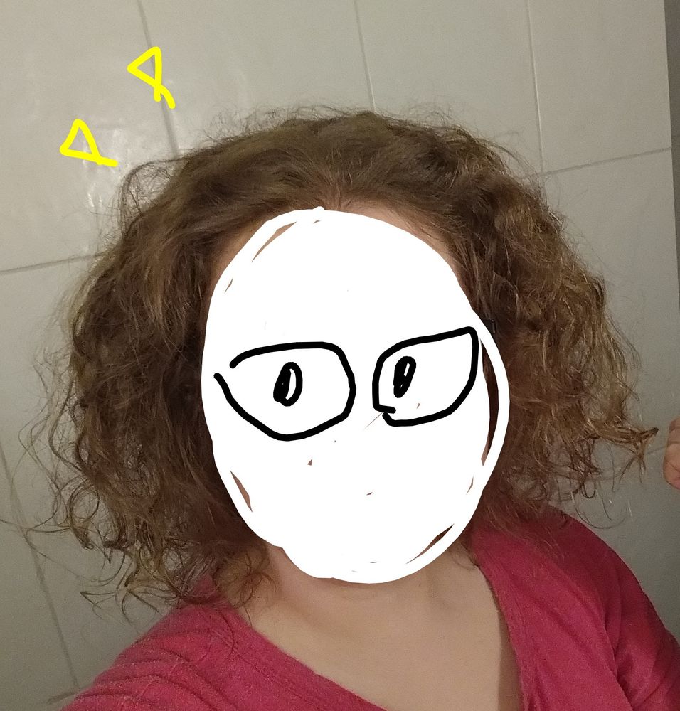 A selfie of the poster with a drawn face on top to censor their face but still show off their hair