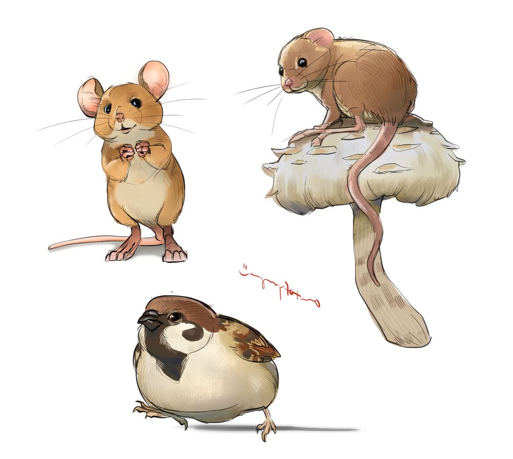 study sketches featuring 2 field mice and a fat sparrow