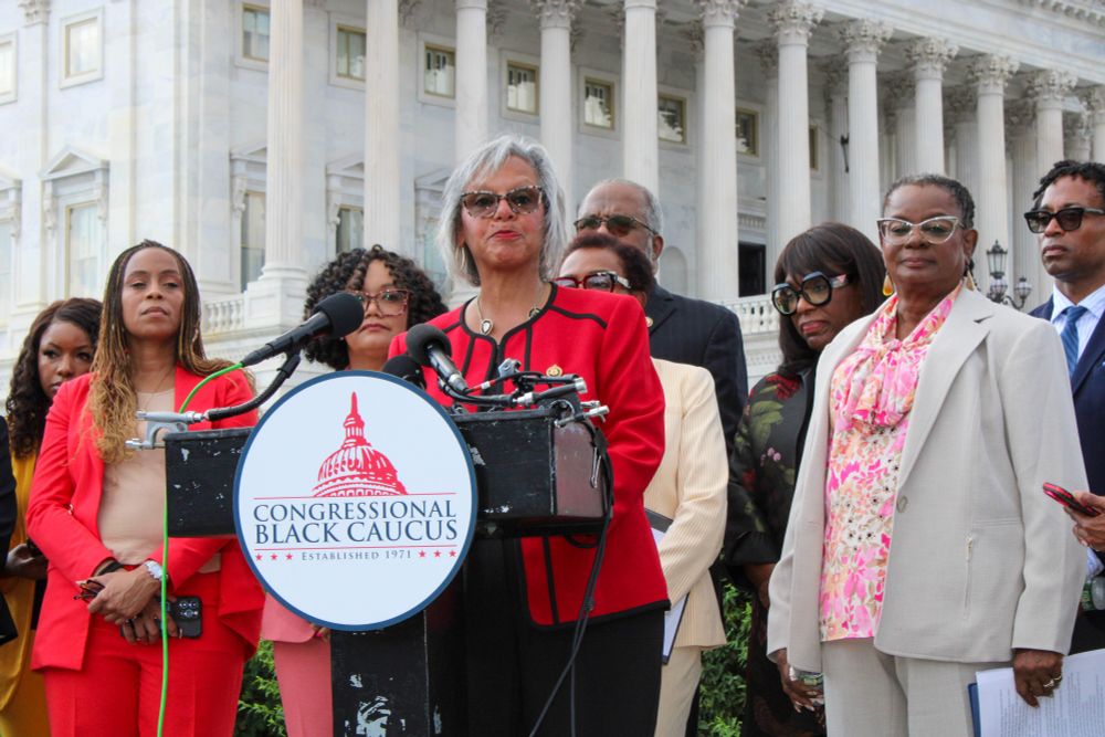 PICTURE: Rep. Robin Kelly speaks behind a podium in front of Capitol Hill with members of the Congressional Black Caucus.