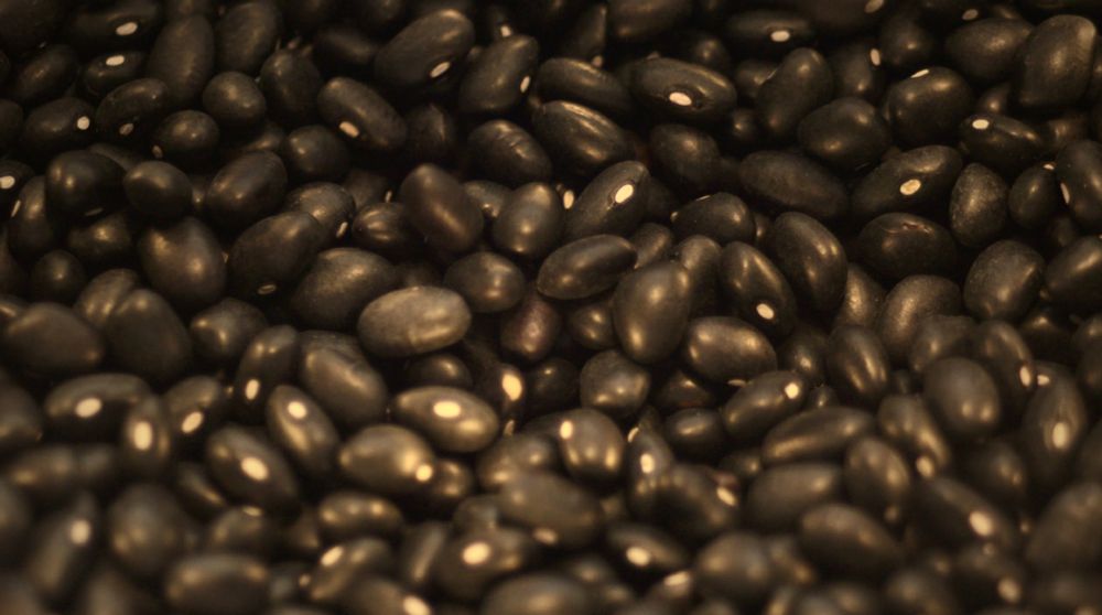 Close up on Black Beans
