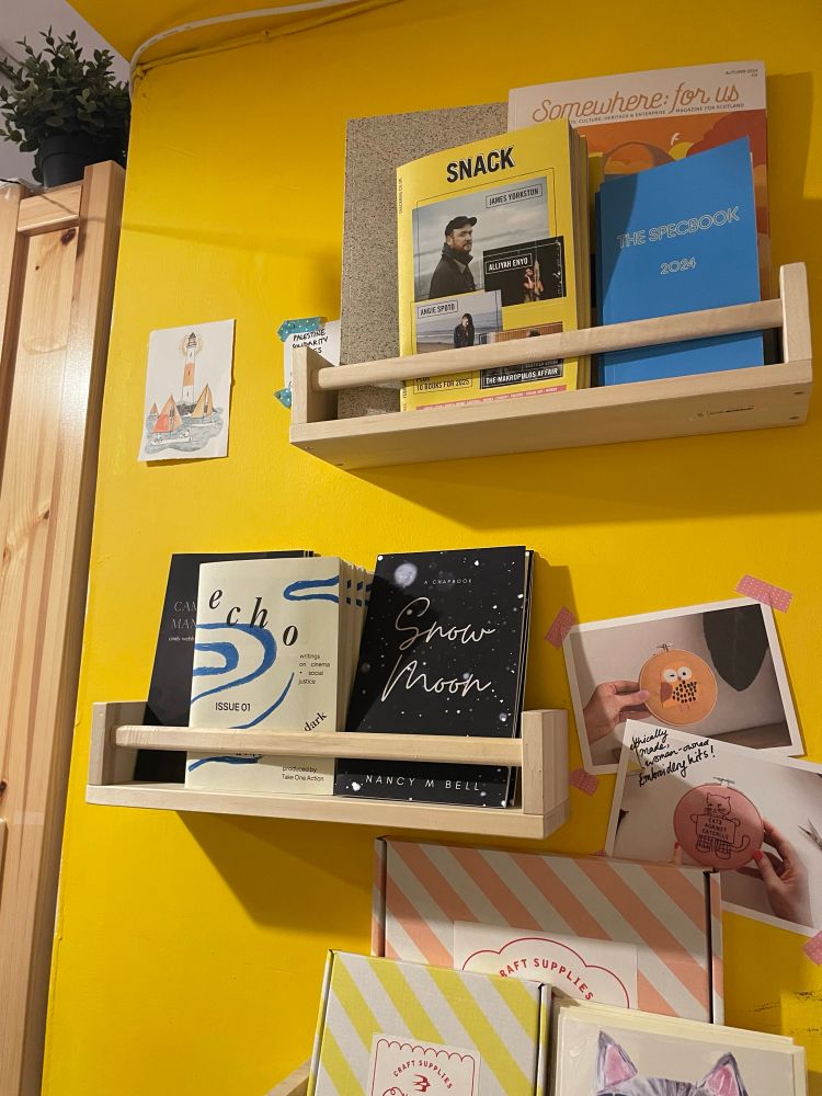 A photo of the ECHO zines at Lighthouse Bookshop on their zines shelf.