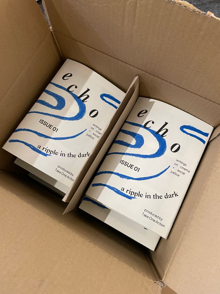 A photo of the ECHO zines stacked in a cardboard box.