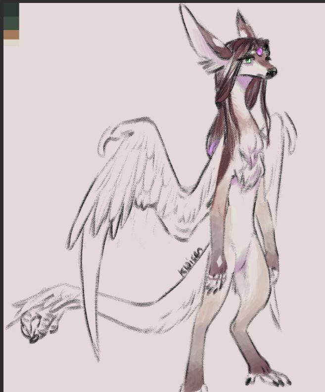 a sketch of a kirekai, a thin, long-bodied creature with claw-wings, grabby feet, and a hand on the end of their tail. this one has more feathers present on their wings and seal-point markings.