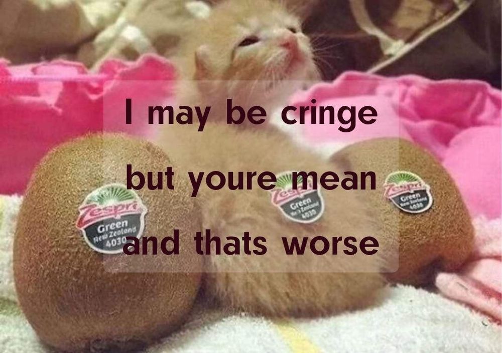 A picture of a kitten who looks like a kiwi in between two kiwis that says “I may be cringe but you’re mean and that’s worse”