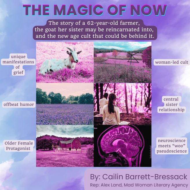 The Magic of Now
The story of a 62-year-old-farmer, the goat her sister may be reincarnated into, and the new age cult that could be behind it. 
Unique manifestations of grief
woman-led cult
offbeat humor
central sister relationship
older female protagonist
neuroscience meets "woo" pseudoscience
By: Cailin Barrett Bressack
Rep: Alex Land, Mad woman literary agency