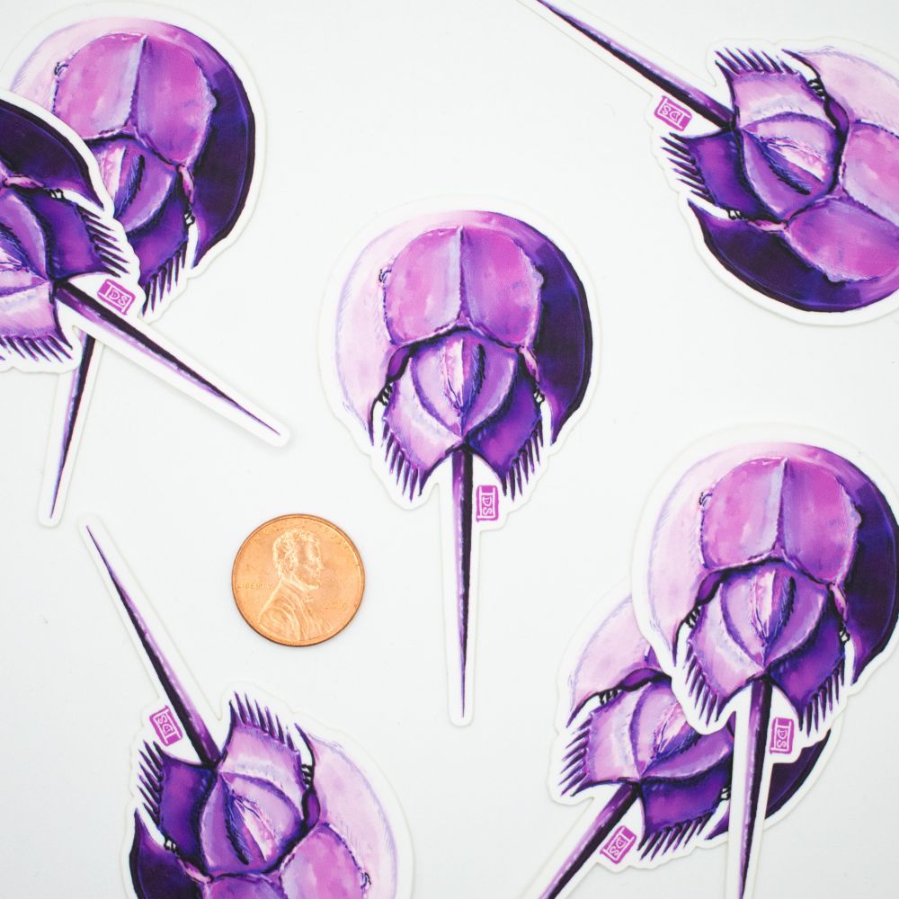 A purple horseshoe crab sticker, with a US penny for scale.