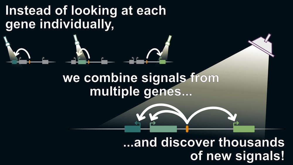 Standard methods are equivalent to a flashlight, looking at each gene independently. We combine signals from multiple genes, turning a floodlight onto the genome. 
