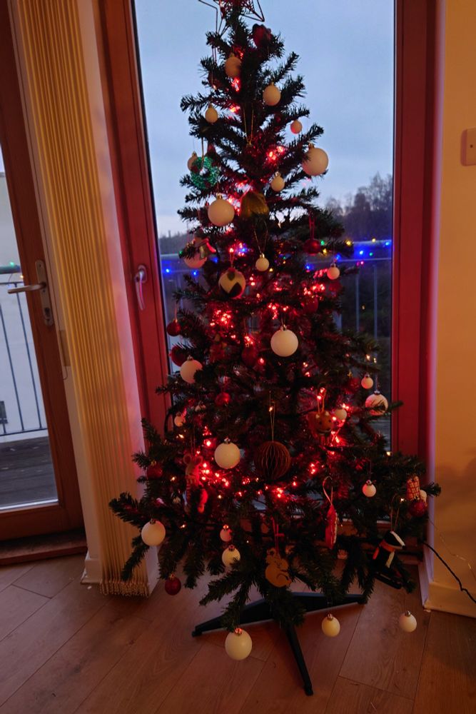 Christmas tree in front of a window in the fading light 