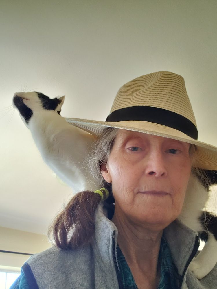 Cat sits on my shoulders under my panama hat.