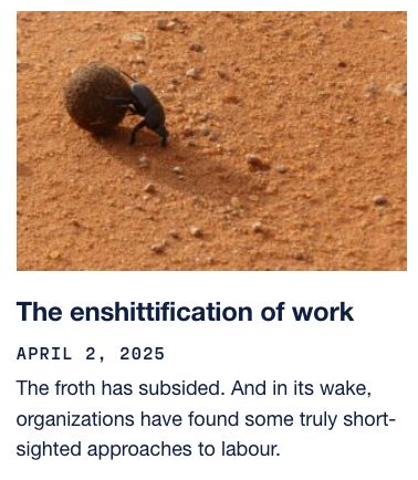Screen grab of a newsletter post. Title is: The enshittification of work" Date "April 2, 2025" Text: The froth has subsided. And in its wake, organizations have found some truly short-sighted approaches to labour. Image: small black beetle pushing fibrous brown ball against a background of red sand.