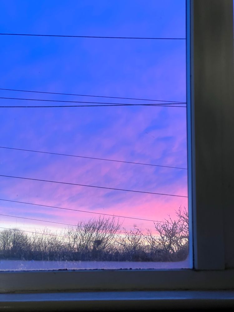 A beautiful pink and blue sunrise over tree tops and telephone lines from Wendy’s writing room window. 