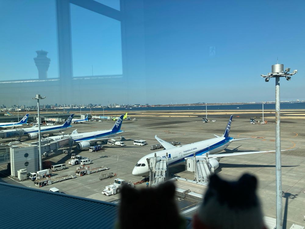 羽田空港第二ターミナル五階からみた飛行機
