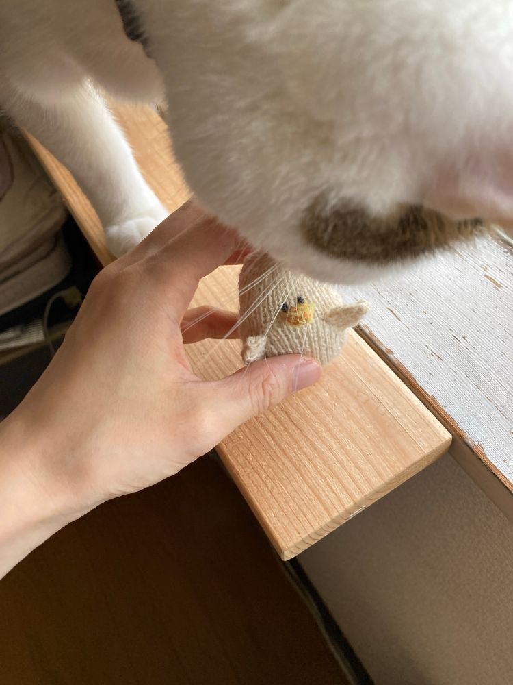 鳥のあみぐるみ