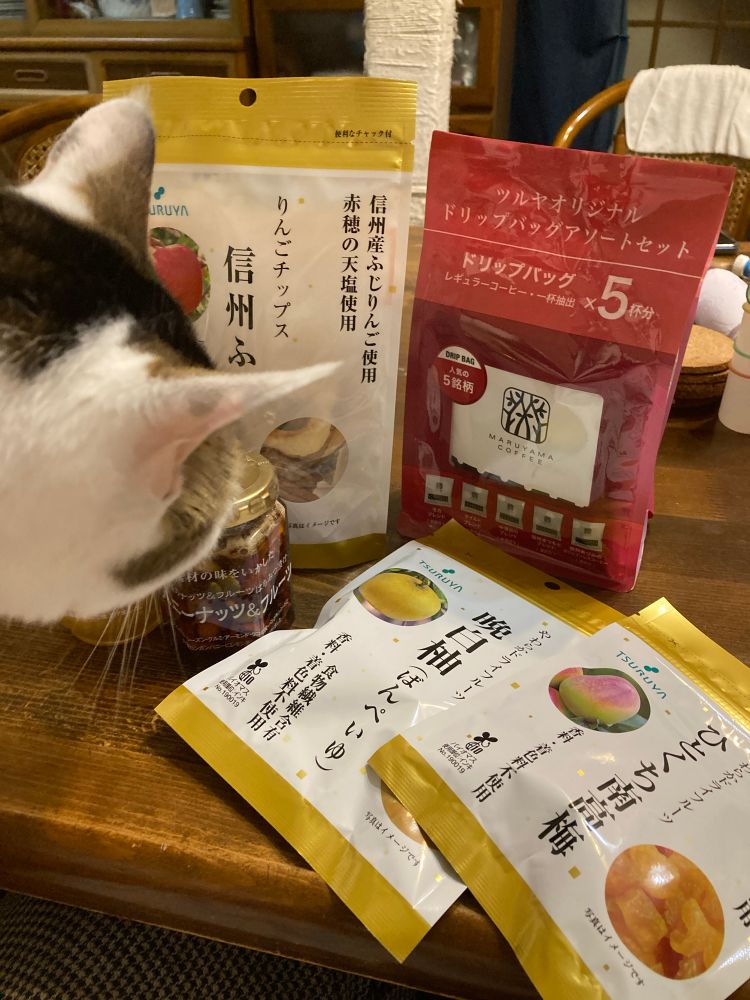 ツルヤで買ったドライフルーツなどを眺める猫