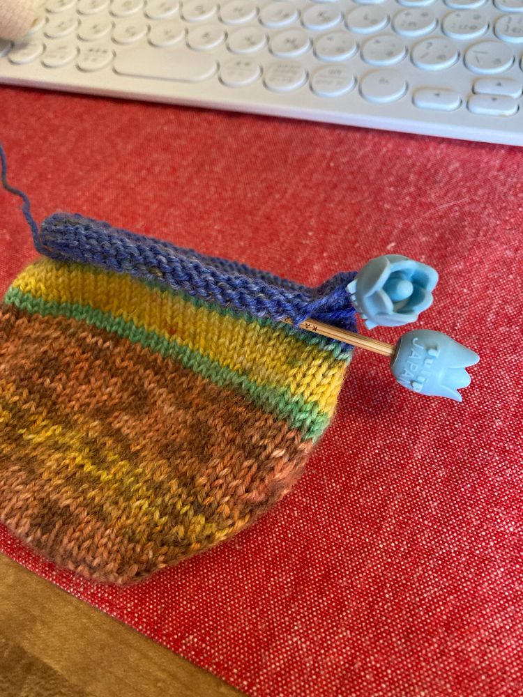 ミニ輪針を使った編みかけの靴下