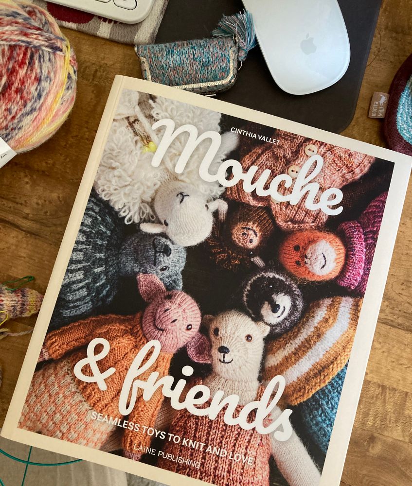 Cinthia Valley 2023 Mouche & Friends Laine Publishing
