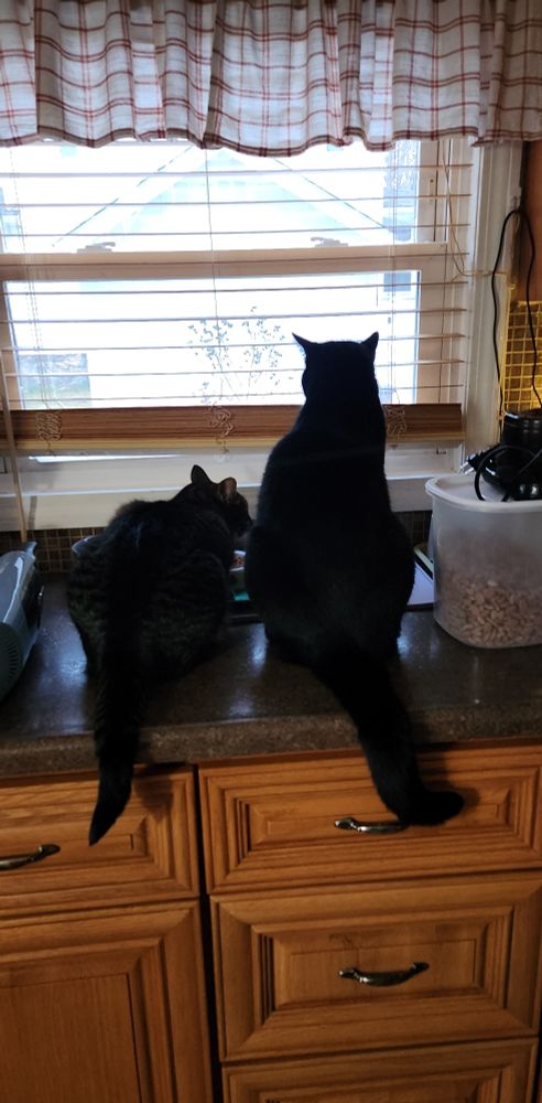 Ollie and Dodo snack time