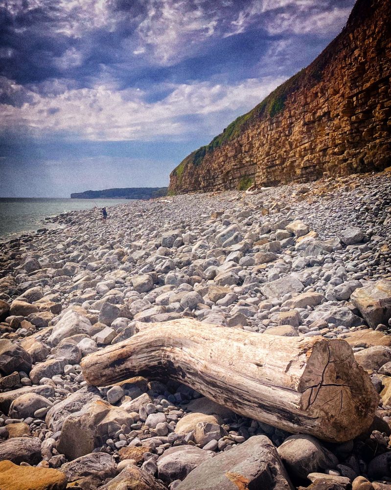 Driftowood and sunrays on Llantwit Major Beach
