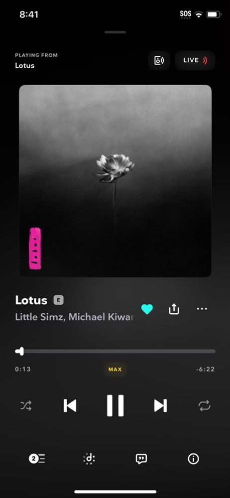 The screenshot of Lotus album by Little Simz on Tidal. A lotus flower in the middle of the album cover 