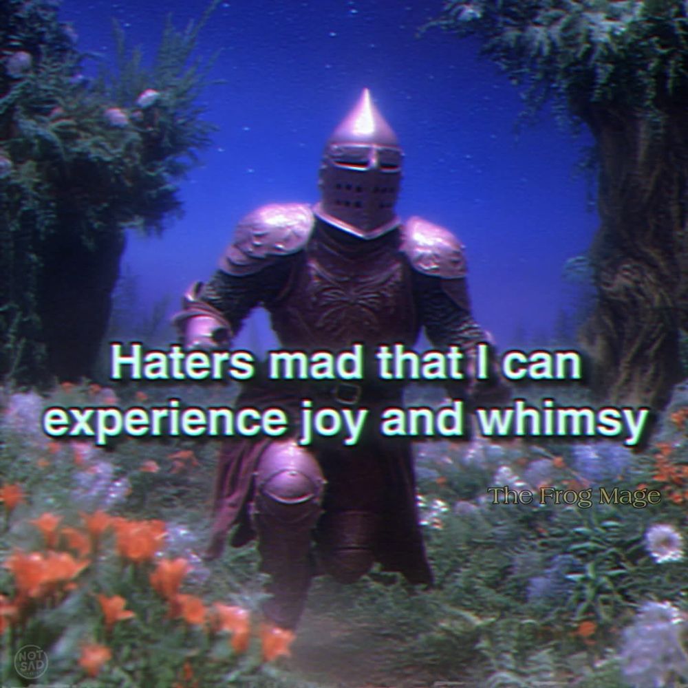 Image of a medieval knight running though a flower field at night with the text: "Haters mad that I can experience joy and whimsy" put on top 
The creator's watermark is "The Frog Mage"