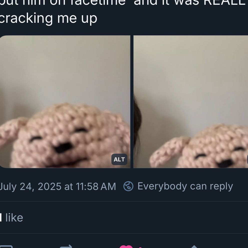 a screenshot of the post with the dog that looks like it’s dipping out of view