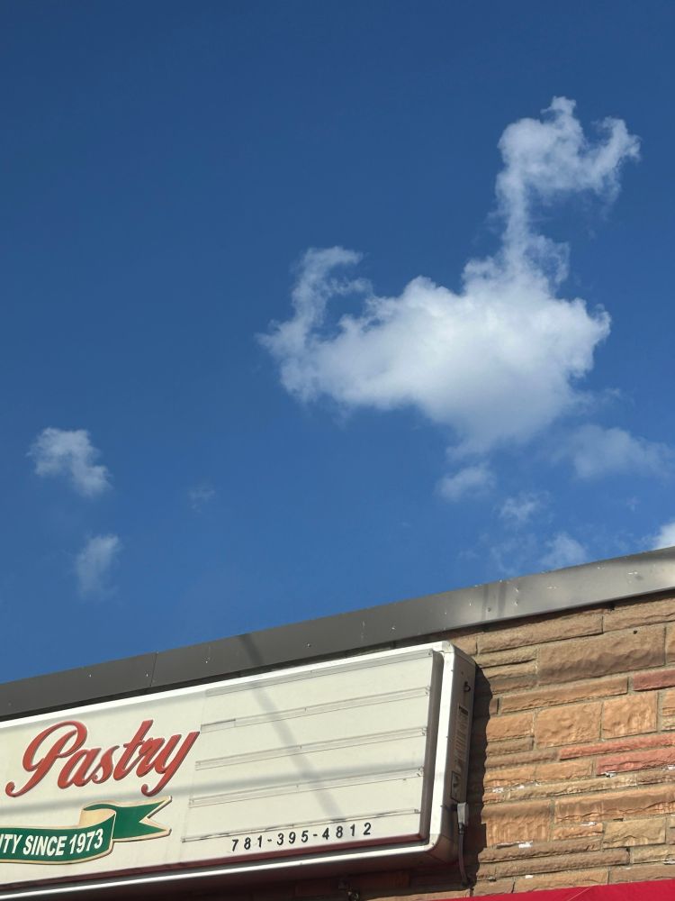 a fluffy cloud that sort of looks like a swan or an eighth note. i really don’t know which.