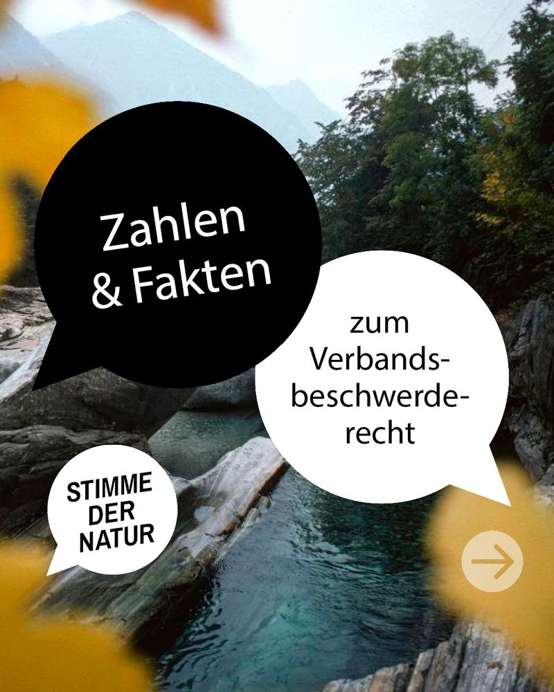 Zahlen und Fakten zum Verbandsbeschwerderecht.