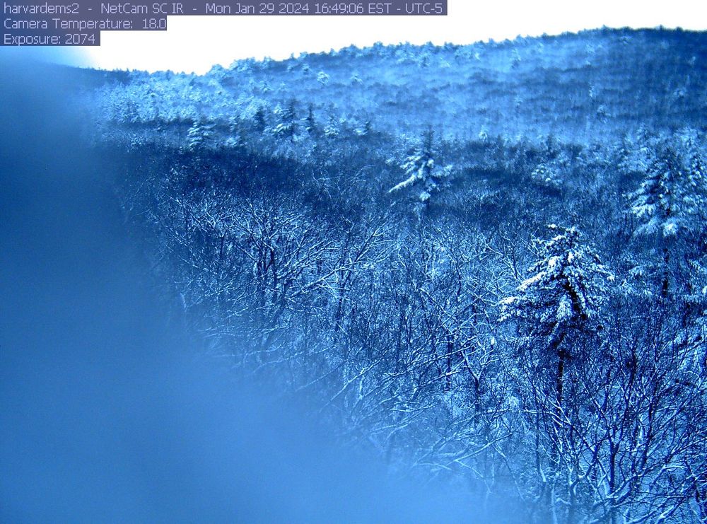 an aerial view of a snow-covered forest.
