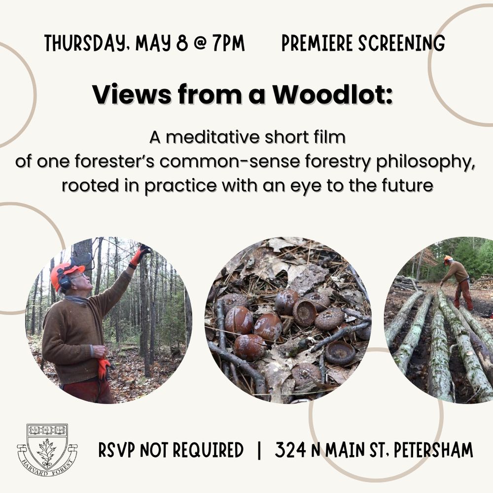 Image shows three photos in circles: (1) Bruce Spencer in the field; (2) acorns on the forest floor; and (3) Bruce Spencer examining downed a pile of logs in a log landing. The image also includes text about the event:  Thursday May 8 @ 7pm; Premiere Screening; Views From a Woodlot: A meditative short film of one forester's common-sense forestry philosophy, rooted in practice with an eye to the future; RSVP not required; 324 N. Main St., Petersham. The image also includes the Harvard Forest logo.