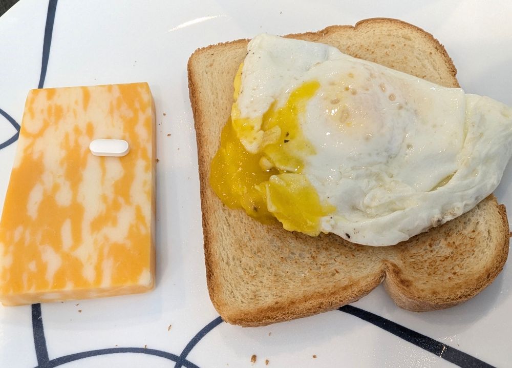 Fried egg on toast and a slice of Colby Jack cheese on a white plate.