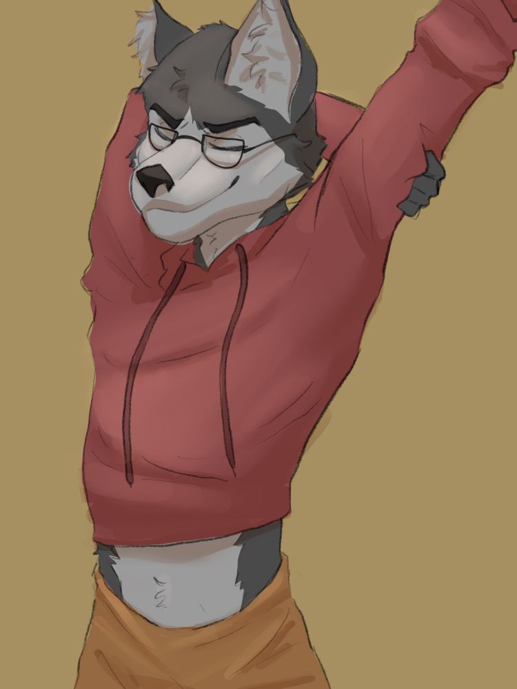 Grey anthropomorphic wolf stretching