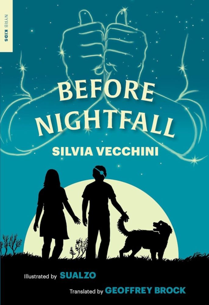 #ItalianLitMonth n. 17: Geoffrey Brock on His Translation of Silvia Vecchini’s Young Adult Novel Before Nightfall