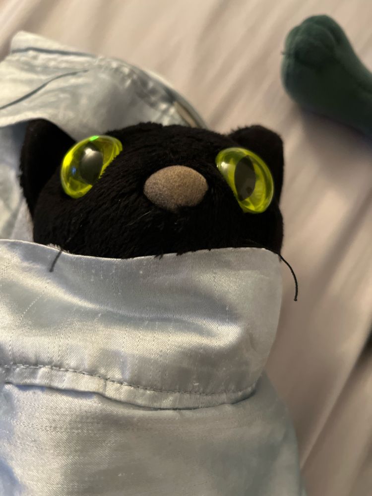 A black cat stuffed animal tucked away in a blue blanket